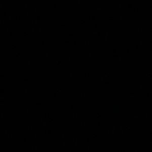 Meet your Posher, Stephen